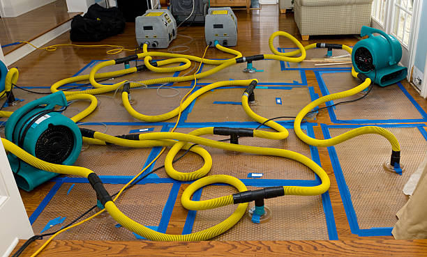 Professional Structural Drying And Dehumidification technician working in Perryman, MD